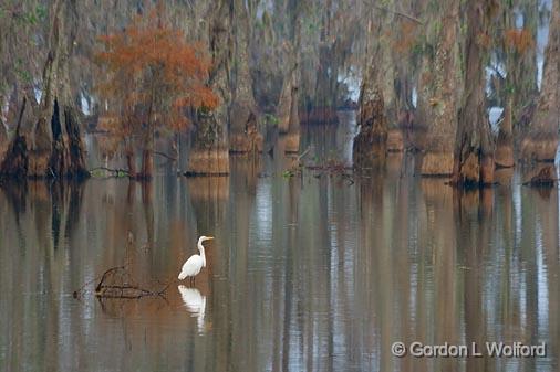 Lake Martin_25424.jpg - Photographed near Breaux Bridge, Louisiana, USA.